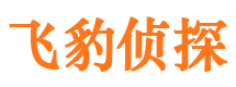 晋州市私人侦探